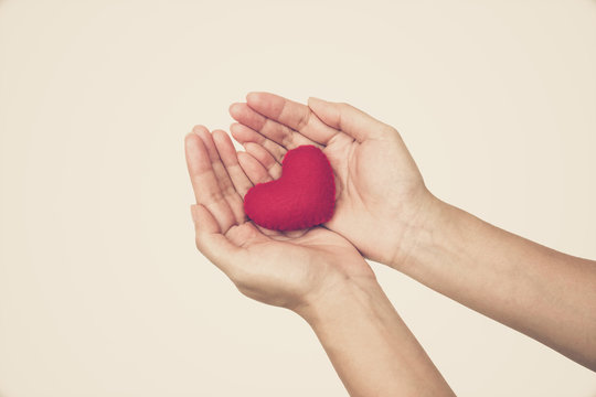 Female hand holding a red heart isolated on white background