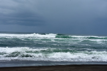 Fototapeta premium Central Oregon Pacific Coast