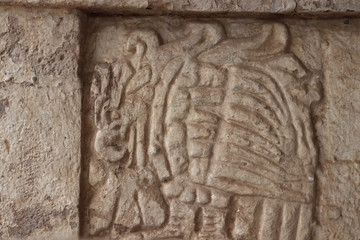 Grabados prehispánicos en Tula, Hidalgo