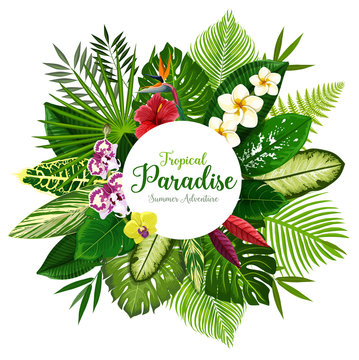 Summer holidays banner of tropical palm and flower