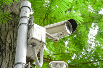 cctv security in garden on tree green nature background