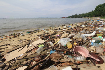 Plastic pollution on beach and in ocean 