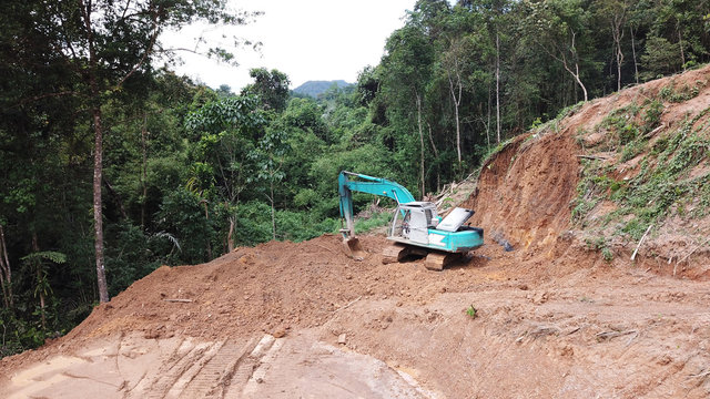 Deforestation of Borneo rainforest    