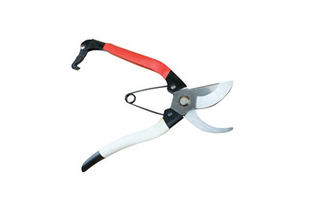 Colorful pruning shears isolated on white background 