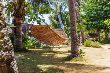 Tropical beach. A hammock between two palm trees on the beach. Concept of rest. Beautiful beach.
