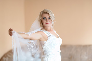 portrait of beautiful blonde bride with a veil in hand, with elegant hairstyle and makeup wearing...