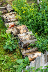 Firewood for the winter in the village