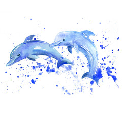 Fototapeta premium Akwarela raster delfinów. Zwierzęta podwodny świat rastrowy.