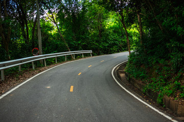 nature landscape background road in forest with tree are environment in day time
