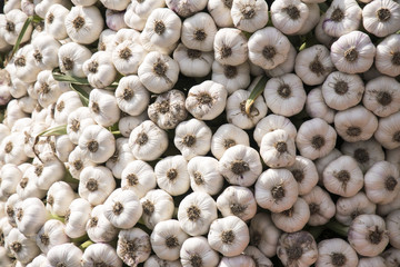 fresh onions closeup on the market