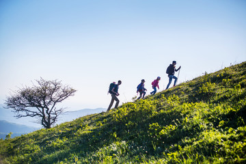 Family in a hike