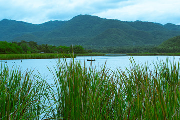 Fototapeta na wymiar Landscape, water grass in front of lake and mountains view. 