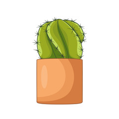 Cartoon green cactuses. Element design. Vector illustration on white background.  Abstract cactus in flower pot.