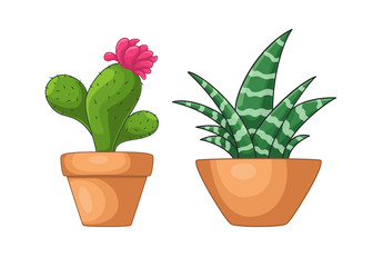 Cartoon set of green cactuses. Element design. Vector illustration on white background.  Abstract cactus in flower pot.