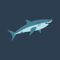 Shark illustration vector