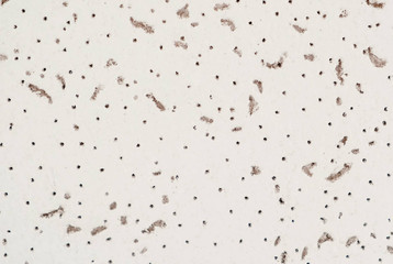 Leaky white surface texture abstract. Closeup.