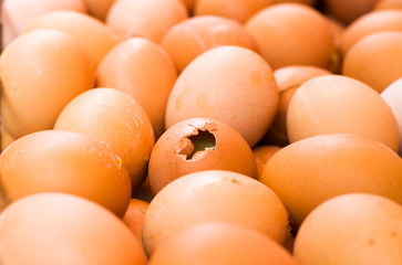 Fresh and safe eggs in the farm