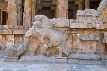 Balustrade showing a ferocious lion pouncing on elephant with a curled up trunk, North-west mandapa, Airavatesvara Temple, Darasuram, Tamil Nadu