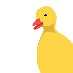 duckling bird vector illustration flat style profile