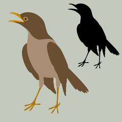 brown small bird vector illustration flat style black silhouette 