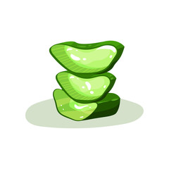 Three green pieces of aloe vera. Natural ingredient for cosmetic products. Botanical theme. Flat vector element for skin lotion label
