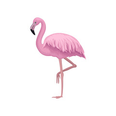 Detailed vector icon of beautiful flamingo with gentle pink feathers, long legs and neck. Exotic bird. Element for postcard or banner