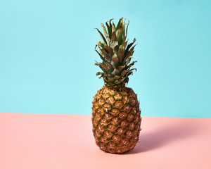 Ripe pineapple isolated on a blue pink paper background. Exotic Fruit