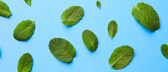 pattern of fresh green mint leaves on a blue background