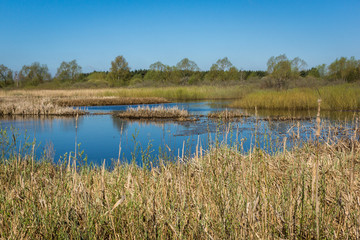 Basins river Biebrza in Osowiec, Podlasie, Poland