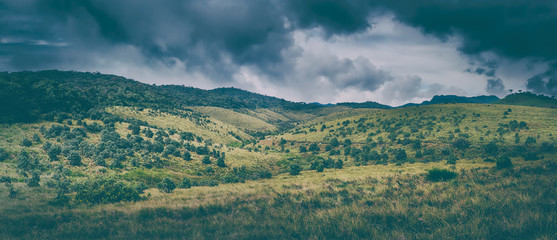 The Horton Plains. Beautiful landscape panorama