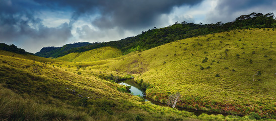 The Horton Plains. Beautiful landscape. Sri lanka panorama