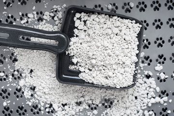 Cat litter. Clean cat toilet. Kitty litter