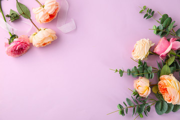 Beautiful flowers on color background