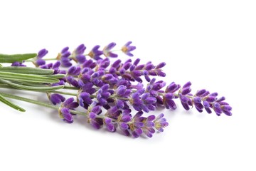 Bouquet of lavender.