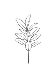 simple leaf icon