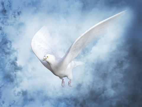 3D rendering of a white peace dove in heaven.