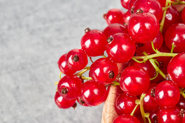 Close up picture of ripe red currant berries, shallow depth of field.