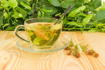 Linden flower tea in glass cup and dried linden flowers