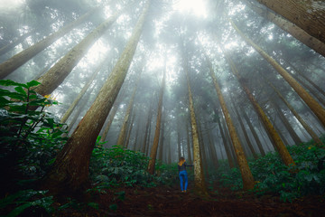 Girl standing in The Makes' forest in Saint Louis, Reunion Island