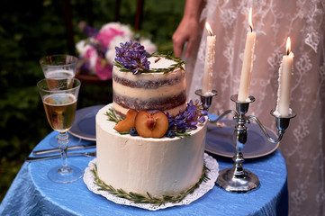 Romantic wedding dinner,in the Park by the water. Lots of green. Beautiful white tiered cake decorated with flowers and a plum tree. Wedding decor