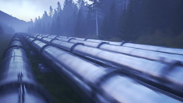 Parallel industrial pipelines through foggy coniferous forest