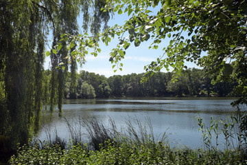 jungfernheide