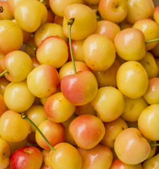 ripe eco-friendly sweet cherry