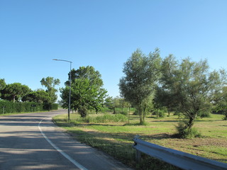strada nel verde della campagna