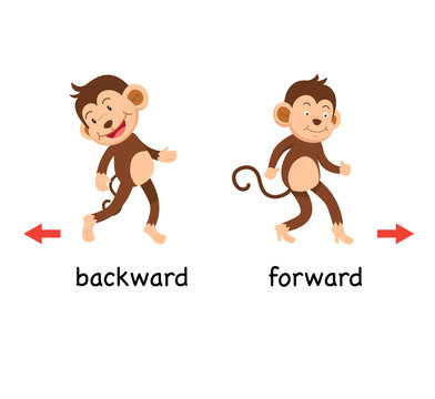 Opposite backward and forward vector illustration