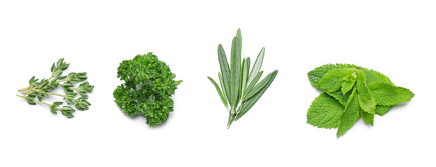Leaves of different herbs on white background
