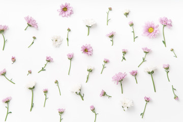 Floral pattern with tender pink and white flowers arranged as a flatlay on white background