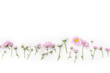 Flatlay with flowers and blossoms arranged on white background. Top view, copy space, botanical concept..