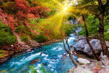 beauty nature scenery landscape background.  Nature composition.  Beautiful landscape © EwaStudio