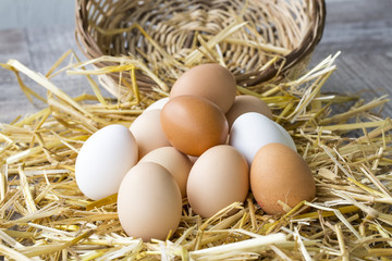 Chicken eggs